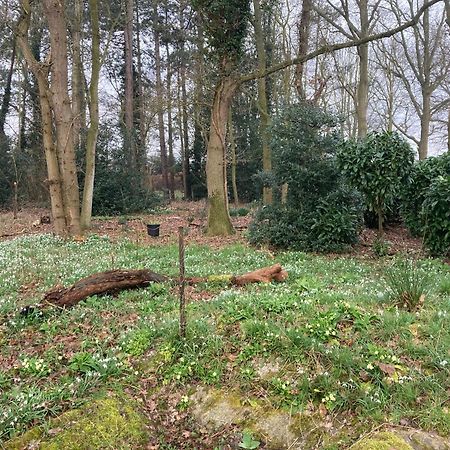 Woodland Retreat, Market Lane, Blundeston, Lowestoft Kültér fotó