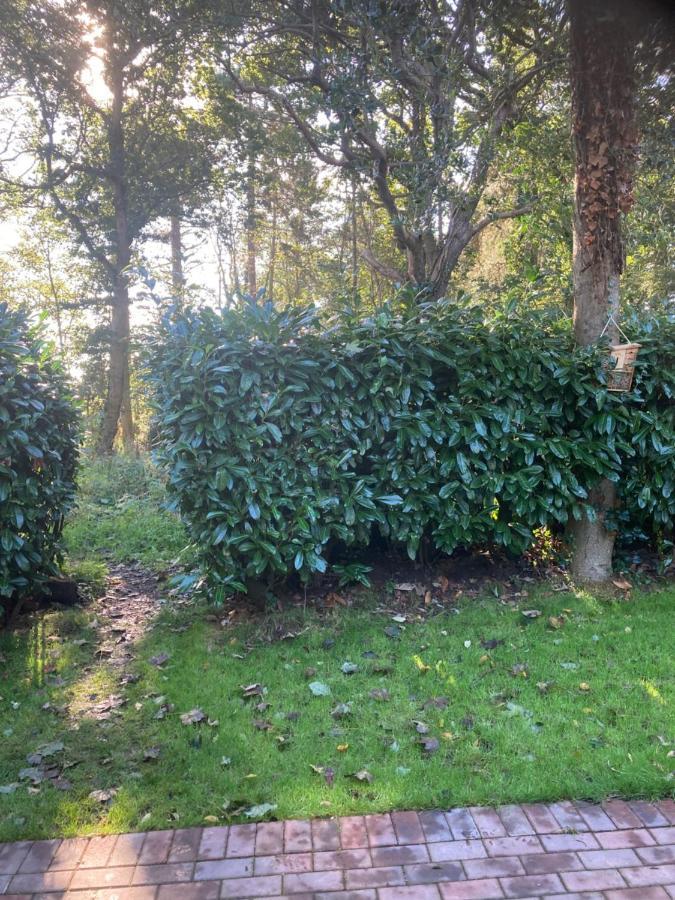 Woodland Retreat, Market Lane, Blundeston, Lowestoft Kültér fotó