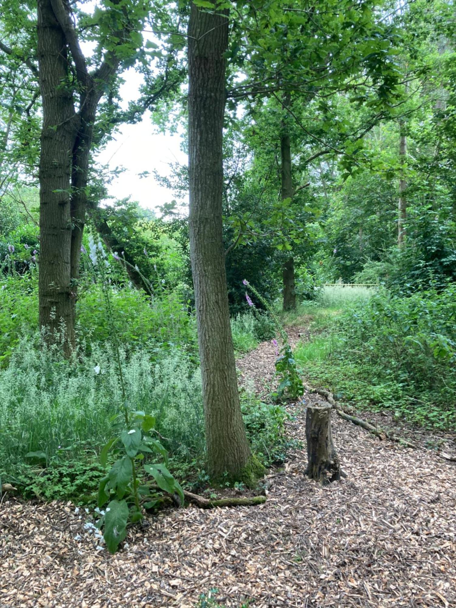 Woodland Retreat, Market Lane, Blundeston, Lowestoft Kültér fotó